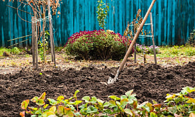 Копать или рыхлить? Когда глобальная перекопка действительно нужна больше, чем рыхление