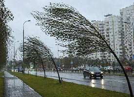 Белорусов призвали “быть готовыми” к 8-балльной опасности – стихия разгонится до 72 км/ч