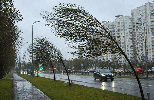Белорусов призвали “быть готовыми” к 8-балльной опасности – стихия разгонится до 72 км/ч