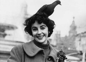 “Налей себе выпить, нанеси немного помады и возьми себя в руки”. 27 февраля родилась Элизабет Тейлор