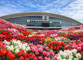 Тюльпаны, клубника и… джекфрут? Собираем подарок к 8 марта на Комаровке