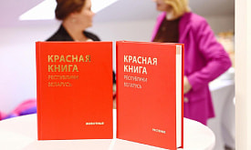 Кто-то притворяется осой, а кто-то живет без фотосинтеза: какие растения вошли в новое издание Красной книги Беларуси?