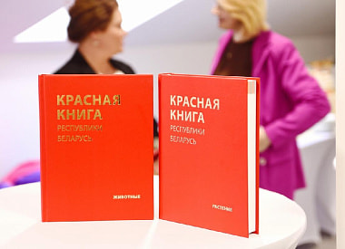 Кто-то притворяется осой, а кто-то живет без фотосинтеза: какие растения вошли в новое издание Красной книги Беларуси?