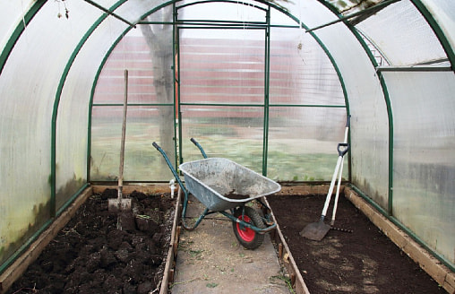 Теплица проснулась раньше вас: как правильно “разбудить” ее после зимы