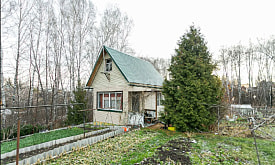 “Бюджетная дача”: можно ли сократить расходы вдвое, не потеряв урожай?