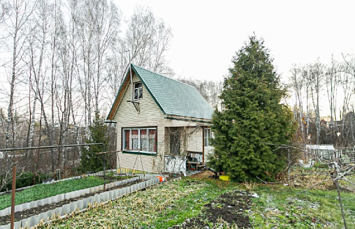 “Бюджетная дача”: можно ли сократить расходы вдвое, не потеряв урожай?