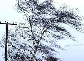 Сразу 3 угрозы накроют Беларусь. Синоптики объявили жёлтый уровень опасности на 12 февраля