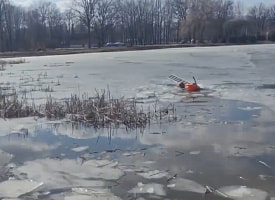 Под Пуховичами мужчина прыгнул в пруд спасать собаку, но не смог. Чем все закончилось?