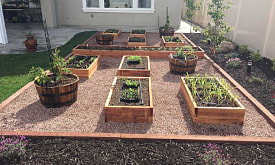 Огород для интровертов: минималистичный подход для тех, кто не хочет “жить” на грядках