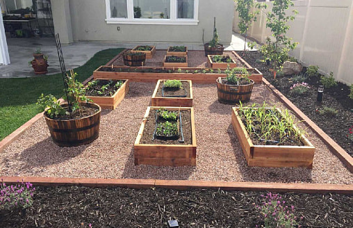 Огород для интровертов: минималистичный подход для тех, кто не хочет “жить” на грядках