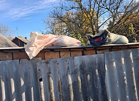 Ущерб природе – 13 500 рублей. Под Кобрином задержали охотников с 300 кг мяса лося