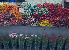 Тюльпаны, клубника и… джекфрут? Собираем подарок к 8 марта на Комаровке