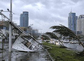 Резкая 9-балльная опасность накроет Беларусь – синоптики предупредили о штормовом ветре до 86 км/ч