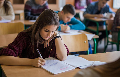 В Беларуси 20 тыс. учащихся проверят на умение применять знания в жизни