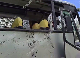 Новые подробности поездки детей из Беларуси в Геленджик: в автобусах были юные танцоры и родители