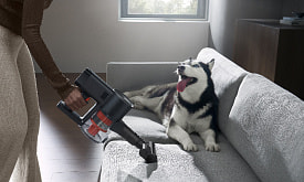 Робот или “вертикалка”? Составили гайд, как выбрать пылесос для дома