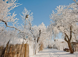 Две недели между Рождеством и Крещением. Зачем нужны Святки?
