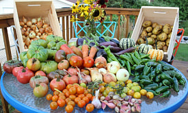 Огород для одного человека: сколько моркови, томатов и зелени действительно нужно сажать. А на семью?