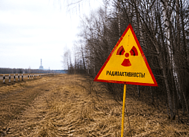 На сколько в Беларуси распались цезий и стронций после катастрофы на ЧАЭС? Эксперт назвал цифры