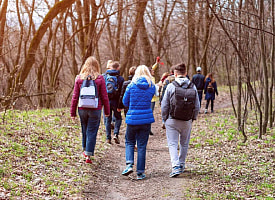 Белорусам пригрозили штрафами до 22,5 тысяч рублей за эти действия в лесах. О чём нужно помнить?