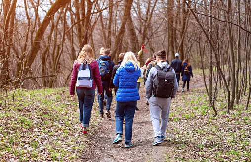 Белорусам пригрозили штрафами до 22,5 тысяч рублей за эти действия в лесах. О чём нужно помнить?