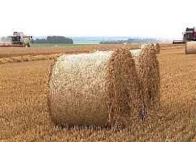 фде