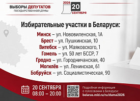 Россияне смогут проголосовать на выборах в Госдуму в семи городах Беларуси