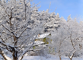 Крещенские морозы не отступят: Рябов пообещал Беларуси на неделе до −30 и без снегопадов