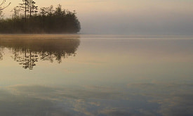 Хрупкий космос Ельни: сколько на самом деле лет самому известному болоту Беларуси, и как мы его едва не потеряли
