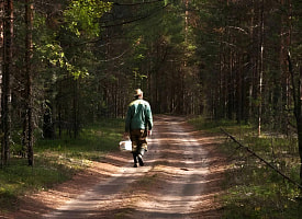 “Категорически запрещено” – Белорусов предупредили о 14-дневной опасности при походе в лес
