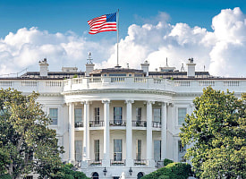 США объявили о выходе из 66 международных организаций, включая более 30 структур ООН