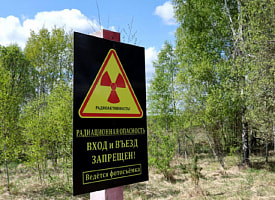 За 5 дней в этом крупном городе Беларуси выросла радиация – посмотрите информацию Белгидромета