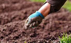 Как ускорить прогрев почвы весной: простые способы для дачников