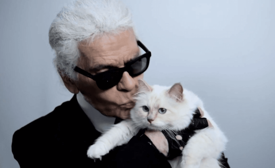 кошка Лагерфельда