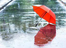 Весна сошла с ума. Рябов пообещал до +18°С, но предупредил о “сюрпризе” в конце недели