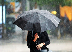 Весна сошла с ума. Рябов пообещал до +18°С, но предупредил о “сюрпризе” в конце недели