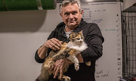 Не хватает законодательной базы и информационной поддержки: бизнес, спасающий бездомных животных, сам нуждается в помощи 