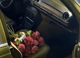 Душевные мероприятия: выставки, концерты, танцы и цветочные экскурсии