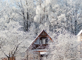 Арктические морозы и снегопады к выходным: синоптик Рябов рассказал о погоде на неделю