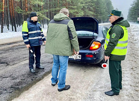 Штраф – до 1260 рублей. Гослесохрана и ГАИ объявили рейды по всей Беларуси