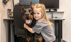 “Собака с едой играет”. Видео о дружбе маленькой девочки и добермана покоряют (и иногда злят) соцсети