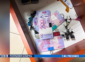 В Минске накрыли крупный таксопарк – почти 800 тысяч рублей налогов “ушли в тень”