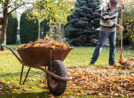 фде
