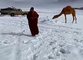 Даже в пустыне Саудовской Аравии выпал снег, а в Беларусь идут только морозы