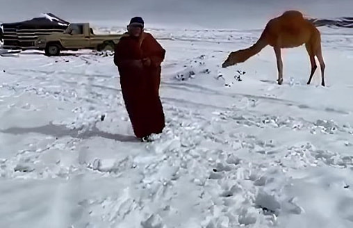 Даже в пустыне Саудовской Аравии выпал снег, а в Беларусь идут только морозы
