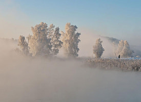В Польше в июле ударил мороз на -6°С, а Беларусь накроют радиационные туманы – при какой температуре?