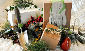 Лопата, грабли, секатор – и не только. Какие садовые инструменты стоит подарить себе к Новому году