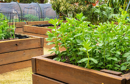 Теплые грядки: действительно ли они дают урожай раньше