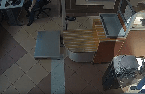 Собака учуяла кокаин. В пункте пропуска “Брест” задержали пассажира рейсового автобуса