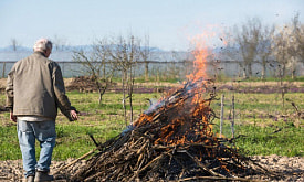 Наводим весенний порядок на даче: когда сжигать сухие ветки? И как…